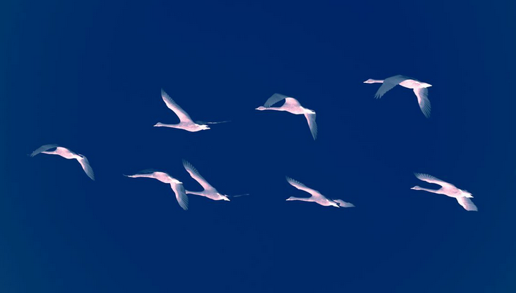 QQ截图20150427104458.png