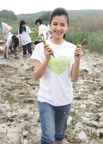 QQ截图20150604144841.png