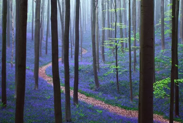 QQ截图20150630124435.png