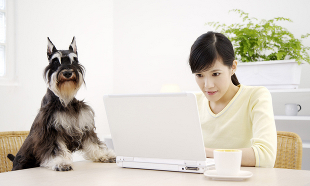QQ截图20150725121503.png
